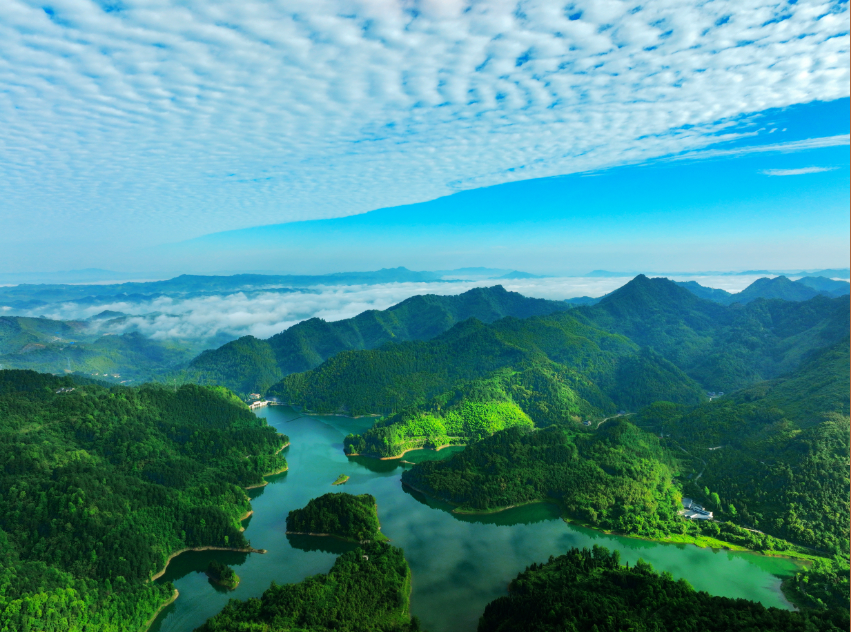 1675840600574044.png image.png