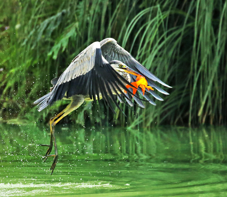 1675840646415549.png image.png