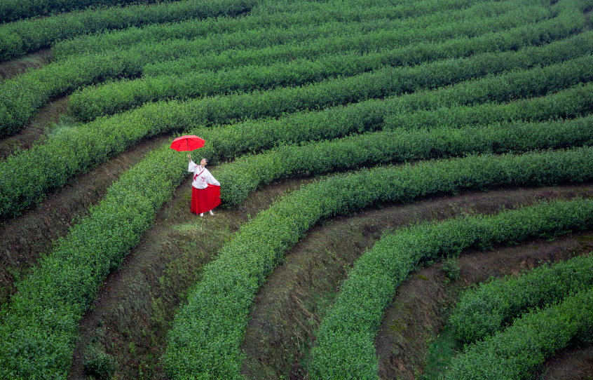 1675840685864214.png image.png