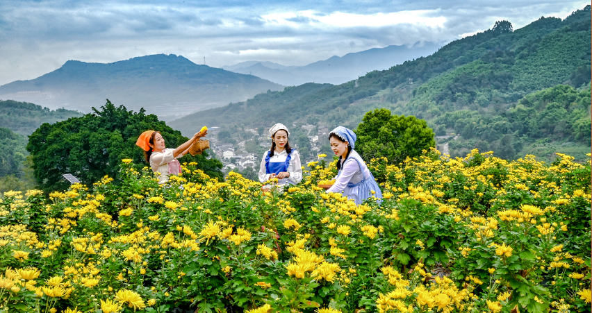 1675840717114744.png image.png