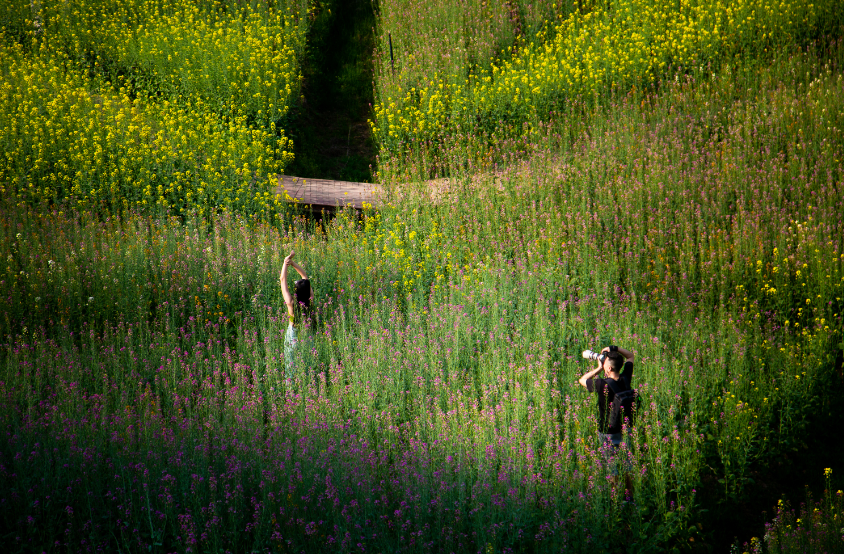 1675840843465766.png image.png