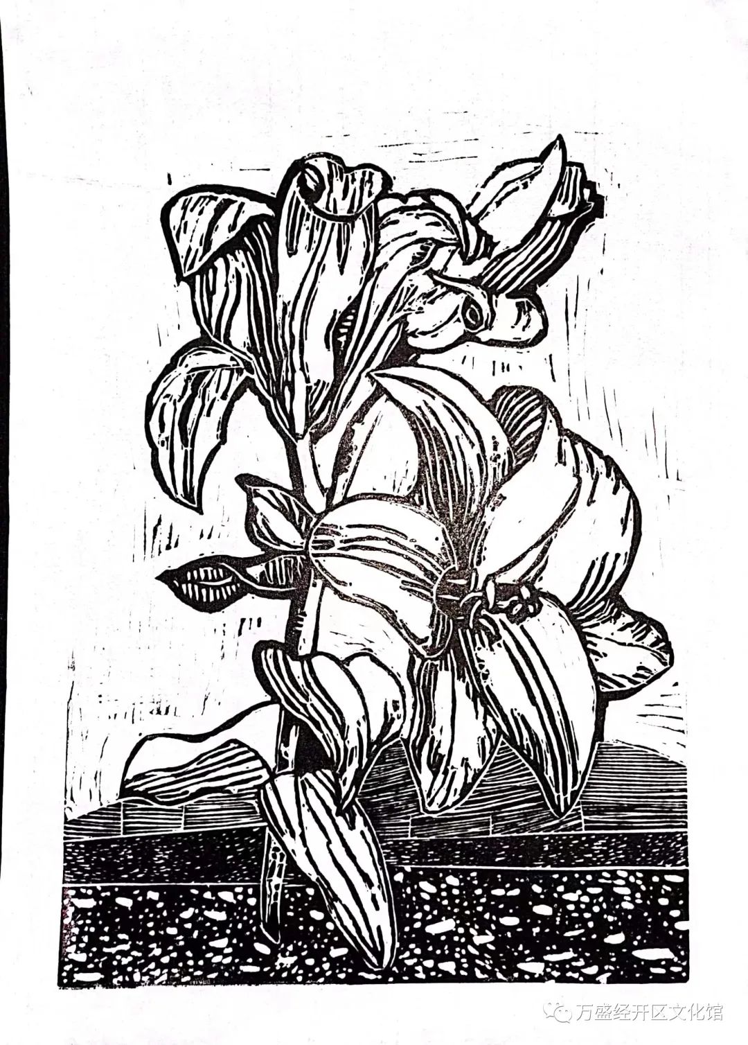 1693383324869602.jpg 1693383324869602.jpg