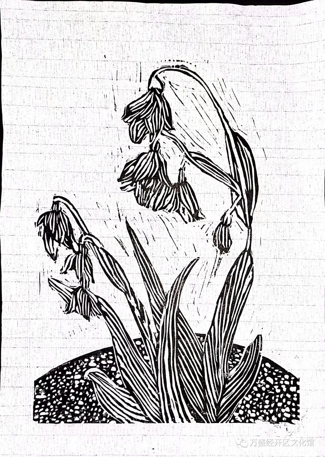 1693383325204351.jpg 1693383325204351.jpg